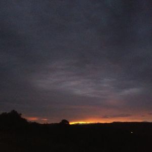 Meet your Posher, Dale